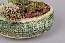 Rose Dickinson - Pots for Plants
