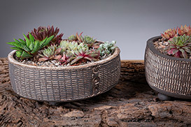 Rose Dickinson - Pots for Plants