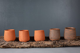 Rose Dickinson - Pots for Plants