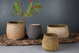 Rose Dickinson - Pots for Plants