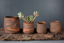 Rose Dickinson - Pots for Plants
